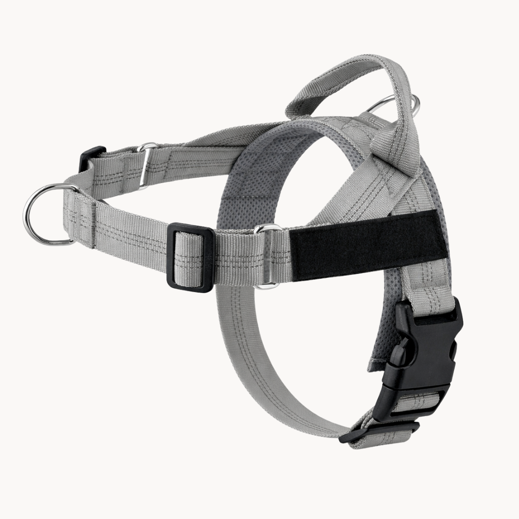 Harnais pour chien - Anti traction