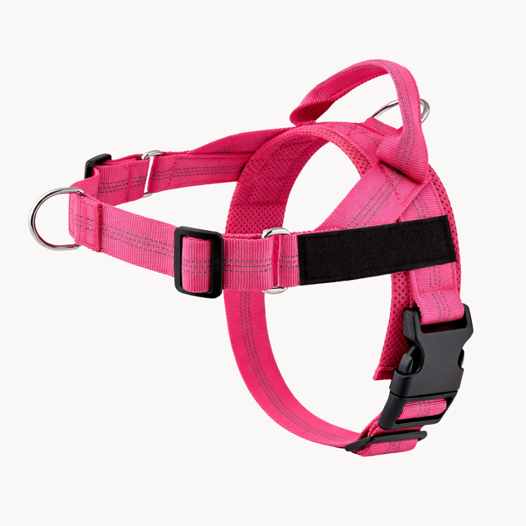 Harnais pour chien - Anti traction