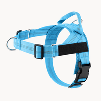 Harnais pour chien - Anti traction