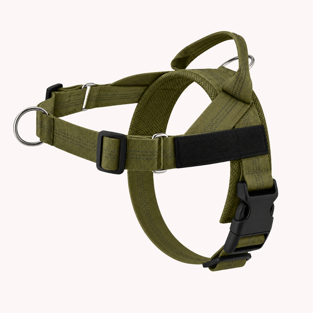Harnais pour chien - Anti traction