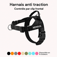 Harnais pour chien - Anti traction