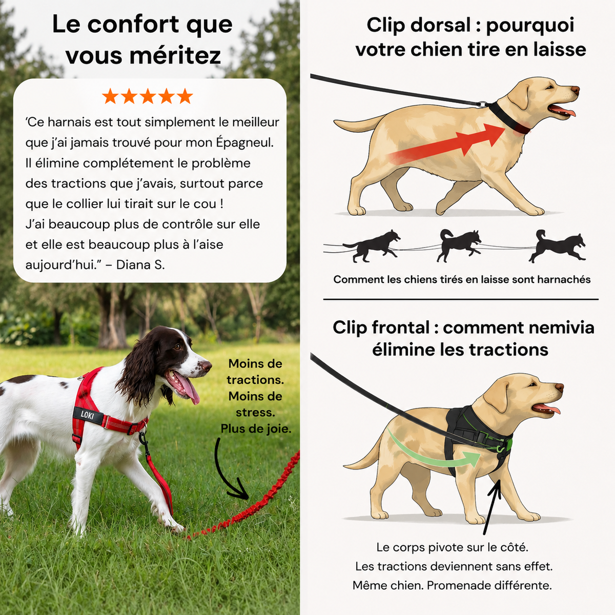 Harnais pour chien - Anti traction