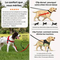 Harnais pour chien - Anti traction