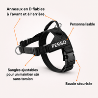 Harnais pour chien - Anti traction